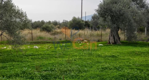 1425427 - Land Area For sale, Saronikos, 5.150 sq.m., €770.000