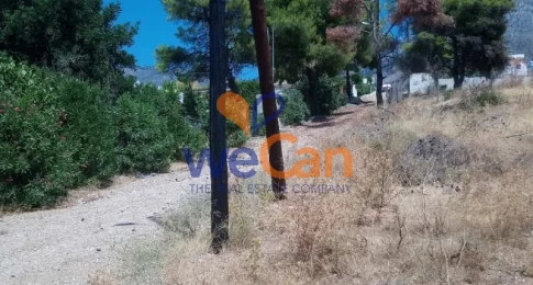 962795 - Parcel For sale, Megara, 312 sq.m., €7.000